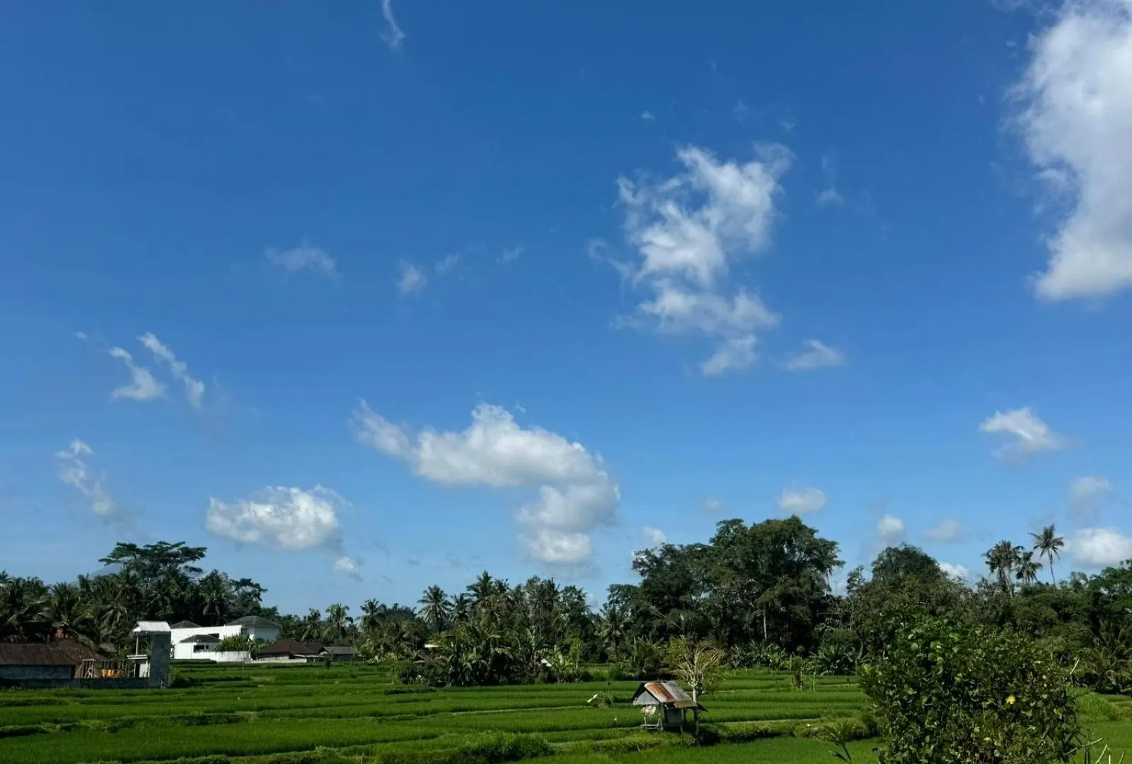 Uma Dadi Villas Ubud